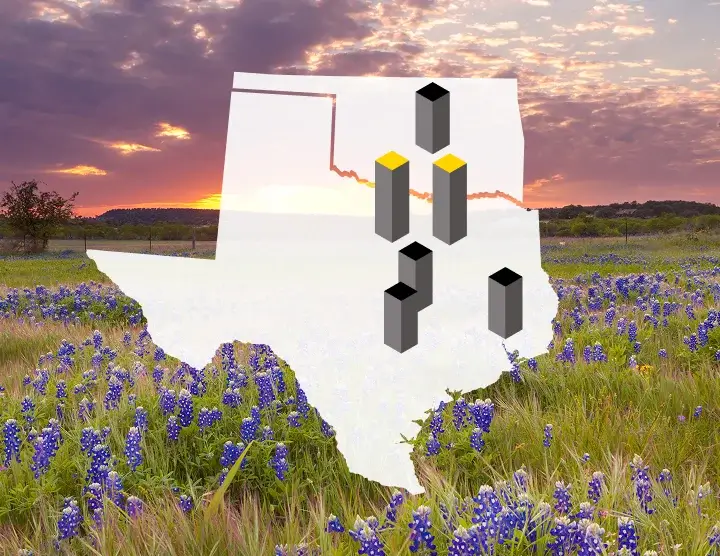 Outline of Texas with 3D blocks over a field of bluebonnets at sunset.